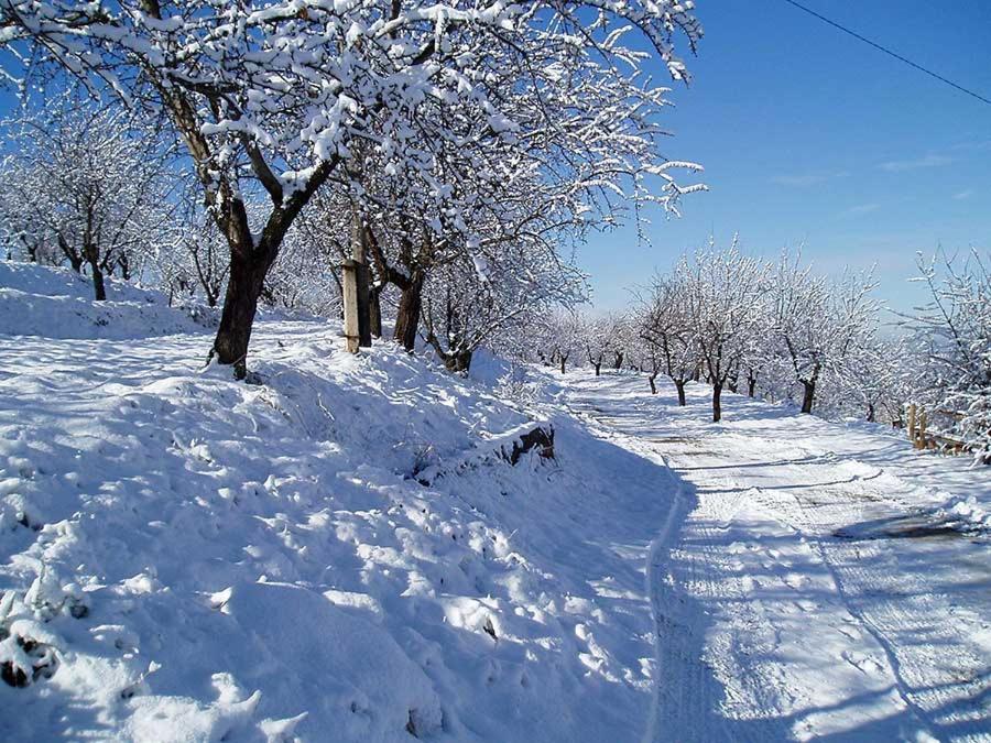 Апартаменти Cortijo Balzain Ла-Субія Екстер'єр фото